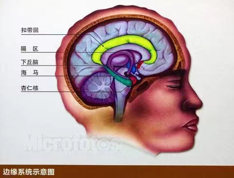 5bef74806e4b32fe7a679a1684ea1af.jpg